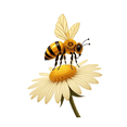 thumbnail image 6 of cartoon Bee Honey Theme Stickers, Waterproof Bee Honey Theme Sticker for Water Bottle Laptop Phone Cases Planner Skateboard Luggage Helmet Party Favor Decor, Ideal for Adults Teens Teacher Rewards, 6 of 9