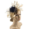 thumbnail image 1 of Blue Heardband Ornement de Cheveux Fleur Photo pour Femmes Coiffe de Club, 1 of 3