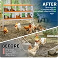 thumbnail image 5 of Lumiparty Chicken Nesting Box, 10 Compartment Chicken Laying Boxes with Bracket Legs, Metal Nesting Boxes for Chicken Coop, Roll Away Nest Box, Easy Egg Collection, Orange, 5 of 7