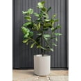 thumbnail image 5 of Veradek Demi Series  20" Plastic-Stone Planter - White, 5 of 9