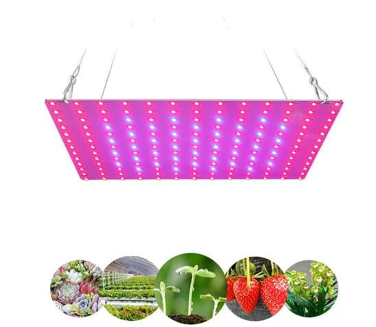 Details about   80W 4-Head LED Plant Grow Lights Flower Lamp for Indoor Greenhouse Hydroponic 