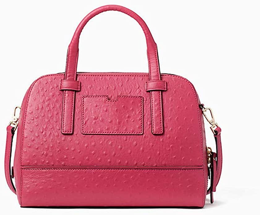 小物 kate spade new york Kate Spade New York Riverside Street Ostrich Small Felix in