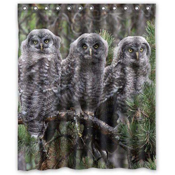 YUSDECOR Birds Owls Great Grey Owl Three Branches Animals Waterproof Shower Curtain Set with Hooks Bathroom Accessories Size 60x72 inches