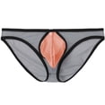 thumbnail image 2 of TANBOM Men's Bulge Enhancing Briefs Nylon Mesh Underwear Gray L 1-Pack, 2 of 6