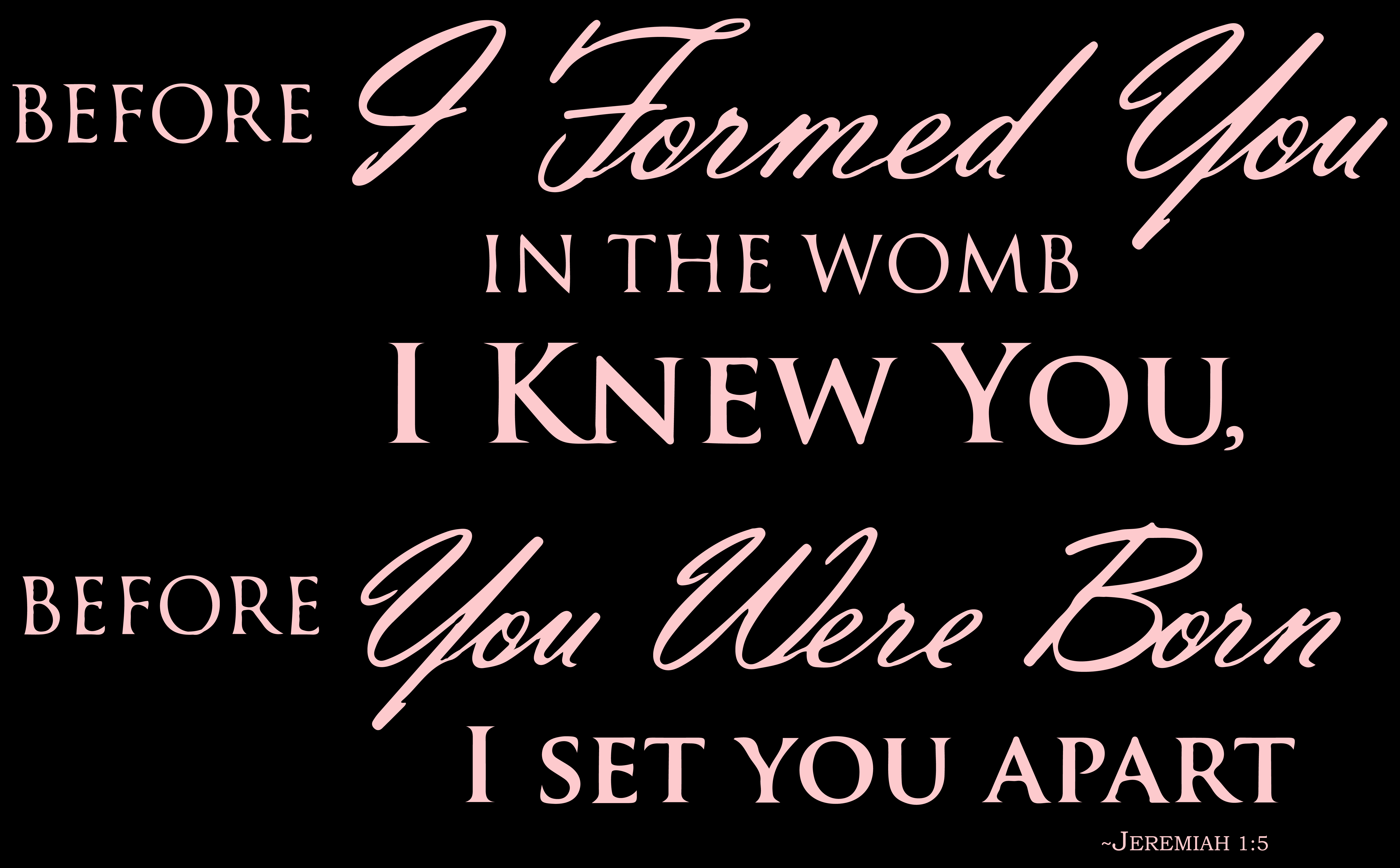 Before You Were Formed In The Womb Kjv - qn440t1