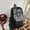 Black without Pendant, variant on New Korean-style student backpack for high school and college students, large capacity, versatile, trendy travel backpack