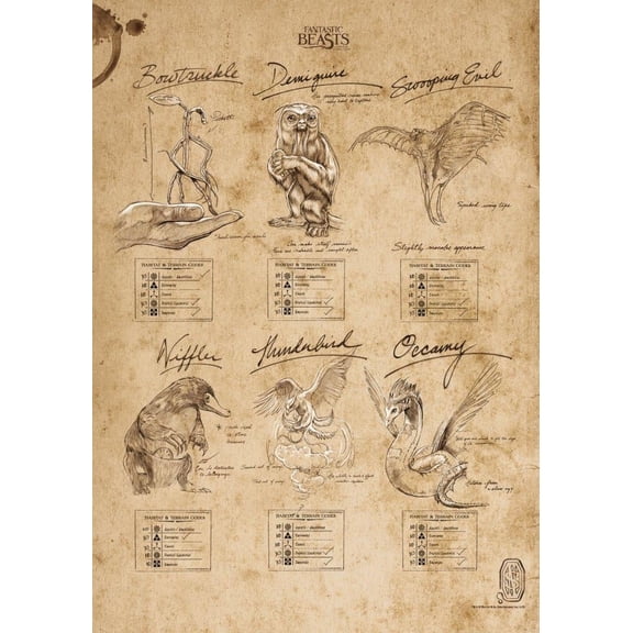 MightyPrint Fantastic Beasts and Where to Find Them 'Beasts Sketchbook' Graphic Art Print MP17240291