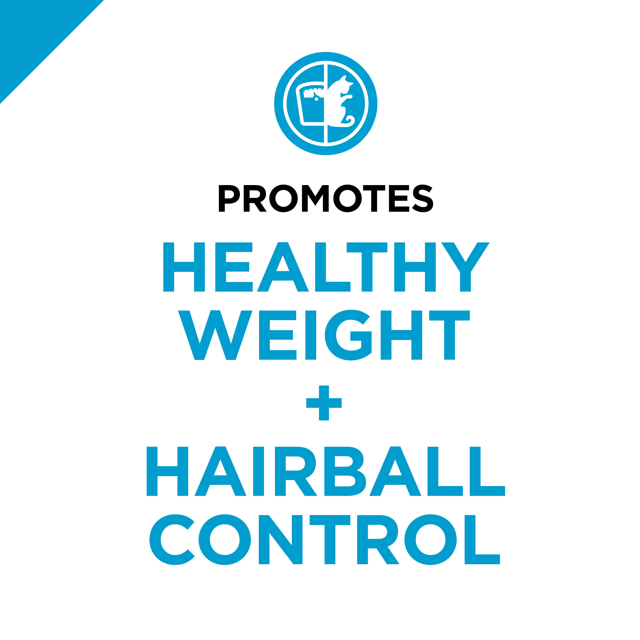 purina pro plan focus indoor care