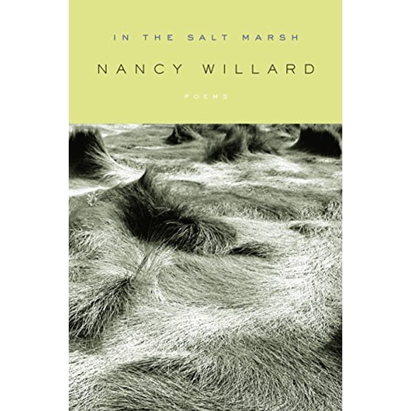 In the Salt Marsh