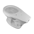 thumbnail image 5 of Renovator's Supply Round Rear Entry Toilet Bowl, White, 5 of 11