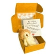 thumbnail image 1 of SharkTRUE Pocket Bear Mini Plush in Box Motivational Worry Bear Gift with Inspirational Card, Soft Plush Bear for Comfort and Encouragement, Perfect for Collection or Carrying, 1 of 8