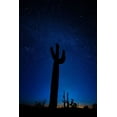 thumbnail image 2 of SMO 11x14 Black Ornate Wood Framed with Double Matting Museum Art Print Titled - A giant saguaro cactus silhouettes in the clear Arizona evening, 2 of 4