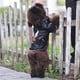 thumbnail image 5 of Glorious Eagle Pattern Dog Coat PU Leather Jacket Soft Waterproof Outdoor Puppy Outerwear Fashion Clothes For Small Pet(XXS-XXL) ShopWise Round, 5 of 7
