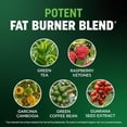 thumbnail image 4 of MAV Nutrition Apple Flavored Pectin-Based Appetite Suppresants , Chewable Gummies, 60 Count, 4 of 10
