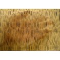 thumbnail image 4 of oneOone Cotton Silk Fabric Abstract Ikat Print Fabric By Yard 42 Inch Wide, 4 of 4