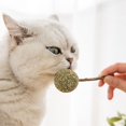 thumbnail image 4 of Chupete de hierba gatera Matatabi, juguete de pelota para gato con palo, 1 paquete, 4 of 5