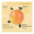 thumbnail image 4 of Manzana Gala por kilo, 4 of 4