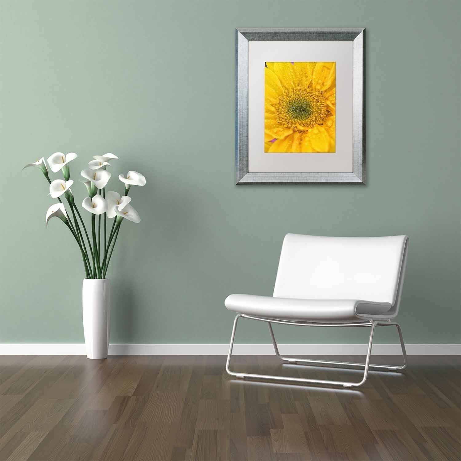 Trademark Fine Art 'Joyful Color' Canvas Art by PIPA Fine Art, White Matte, Silver Frame