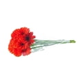 thumbnail image 1 of Bouquet de gerberas 10 tallos, 1 of 3