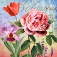 thumbnail image 2 of Art Licensing Studio 26x26 Gold Ornate Wood Framed with Double Matting Museum Art Print Titled - Botanique with Rose, 2 of 4