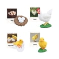 thumbnail image 4 of Figuras de , juguetes, ciencia biológica, modelo de etapa de crecimiento, figuras de animales, Juguetes Pollo Zulema Juego de crecimiento, 4 of 8