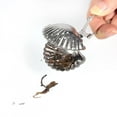 thumbnail image 4 of Tea Infuser,Cute Stainless Steel Loose Striking Appearance, 4 of 11