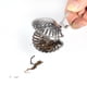 thumbnail image 4 of Lindo acero inoxidable suelto Infusor de té hoja colador filtro difusor hierbas especias Shell Pincher, 4 of 8