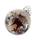 thumbnail image 1 of Bearachild Adornos navideños de animales salvajes en 3D, simulados, de material acrílico. Ideales para Navidad y decoración navideña. Kits de decoración para fiestas ciervo milu, 1 of 4
