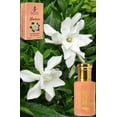 thumbnail image 6 of Gardenia 12 ML Concentrated Fragrance (0.41 fl. oz), 6 of 6