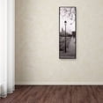 thumbnail image 3 of Trademark Fine Art "Blois Parc" Canvas Art by Alan Blaustein, 3 of 3
