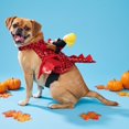 thumbnail image 2 of Vibrant Life Halloween Dragon Rider Costume for Dogs and Cats, Multicolor, S, 2 of 8