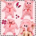 thumbnail image 3 of Pig Squeeze Toys Balls, Squeeze Toy Piggy Splash Toy Squeeze Toy, 3 of 5