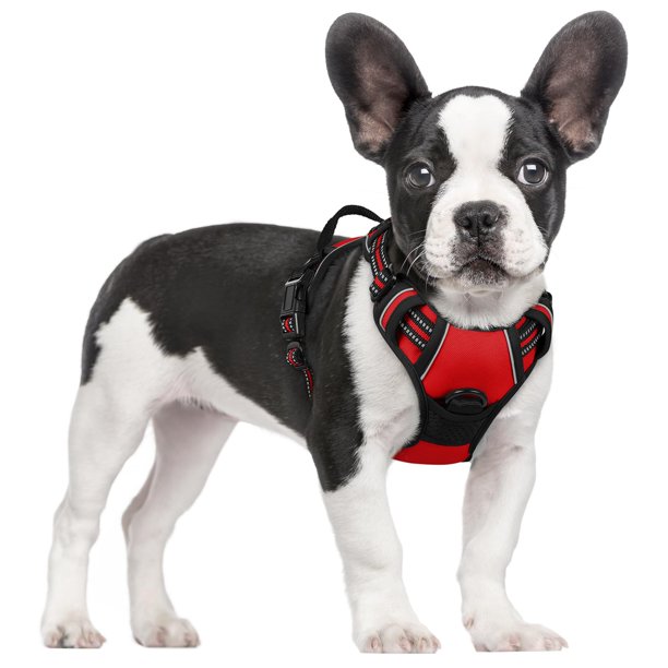 Arnés para perros Rabbitgoo, sin tirones, ajustable, rojo, para perros pequeños
