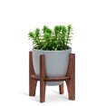 thumbnail image 1 of Lot de 1 Petit Pot avec Support en Bois, 1 of 1