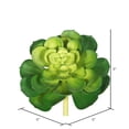 thumbnail image 3 of Vickerman FA170601 Plante en Plastique Verte Succulente, 3 of 3