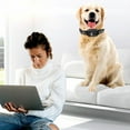 thumbnail image 3 of Dog Bark Collar USB Charging Anti Barking Training Collar IP65 Waterproof Dog Barking Control Device with Intensity Beep Vibration Automatic Bark Collar Reusable 4 Modes for Dogs, 3 of 11
