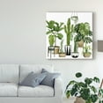 thumbnail image 3 of Trademark Fine Art 'Plant Haven I' Canvas Art by Grace Popp, 3 of 4