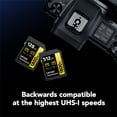 thumbnail image 6 of Lexar GOLD Series Professional 1800x 256GB UHS-II SDXC Memory Card, 6 of 6