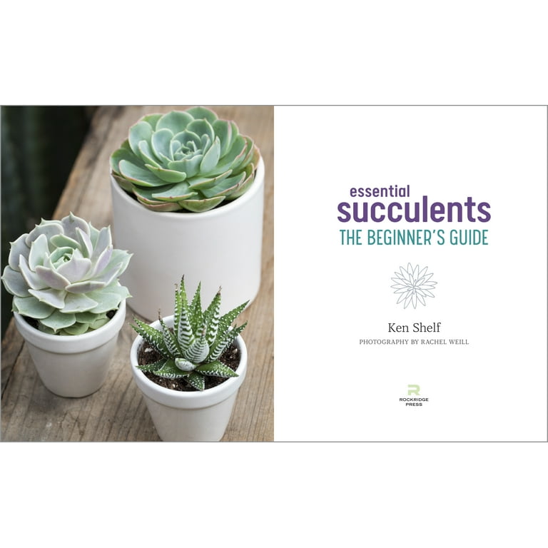 趣味・スポーツ・実用 Succulents The Illustrated Dictionary 趣味・スポーツ・実用 Succulents The Illustrated Dictionary