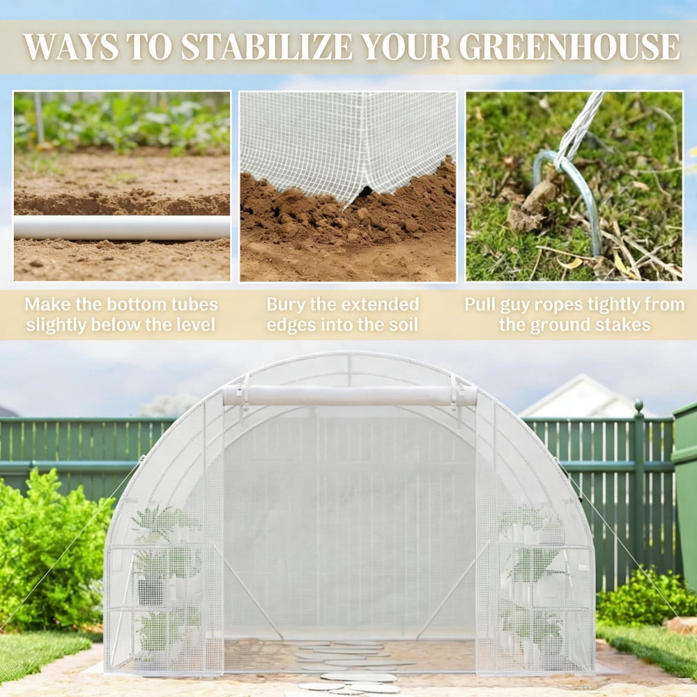 Greenhouse