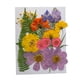 thumbnail image 1 of Advancent Artesanía de flores secas naturales Flores prensadas Ramos en relieve Decoración para tarjetas de boda Pintura de álbum de recortes Flores artificiales Typ 2 Advancent HA010760-02, 1 of 6