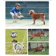 thumbnail image 4 of Pelota de fútbol iluminada para perros, juguete para perros con asas, pelota de fútbol para perros con bomba, juguete interactivo para perros (19 cm) para interiores, exteriores y en el agua, 4 of 5