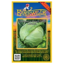 Everwilde Farms - 500 Copenhagen Market Early Cabbage Seeds - Gold Vault Jumbo Bulk Seed Packet