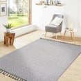 thumbnail image 2 of Stain-resistant, Non-shedding 8X10 Area Rug - Suitable for Indoor Living Room, Bedroom and Outdoor Use, 2 of 2