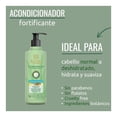 thumbnail image 4 of Acondicionador Blends Botanicare Hidratacion anti frizz 350 ml, 4 of 4