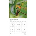 thumbnail image 3 of Hummingbirds | 2026 7x14" (Hanging) Monthly Mini Wall Calendar | Plato, 3 of 9