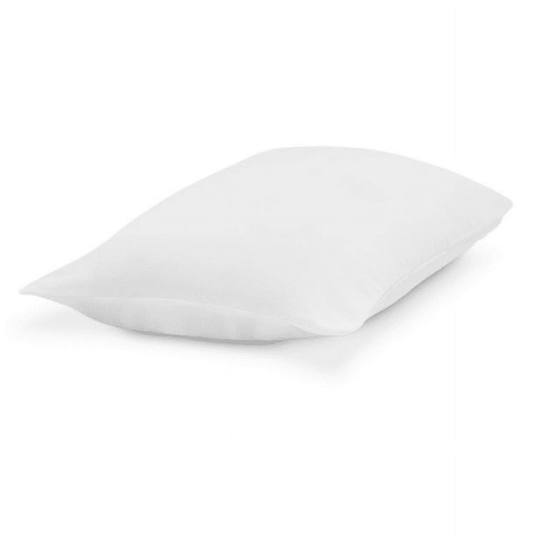 ISPACI Mini Lumbar Travel Pillow – north house AGENDA