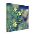 thumbnail image 2 of Trademark Fine Art 'Little Yellow Flowers' Canvas Art by Incredi, 2 of 2