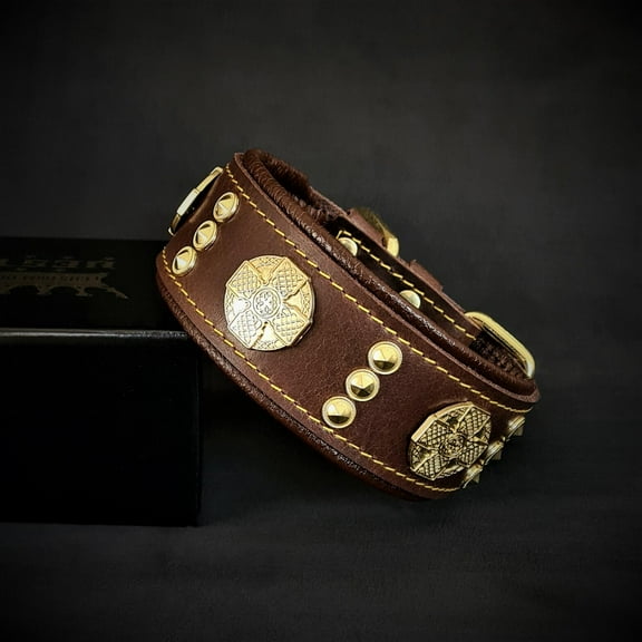 The Maximus Leather Dog Collar Brown & Gold for Medium and Large Dog Breeds 2 inch Wide