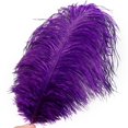 thumbnail image 3 of Plumas de avestruz Soarer para manualidades, 15 unidades, 30 a 35 cm, color morado, 3 of 6